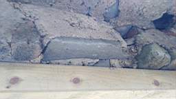 acastle
                          107020.jpg
